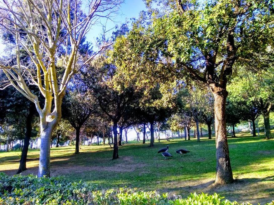 Castelvi Rooms Cagliari Luaran gambar